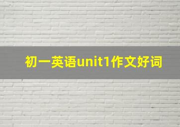 初一英语unit1作文好词