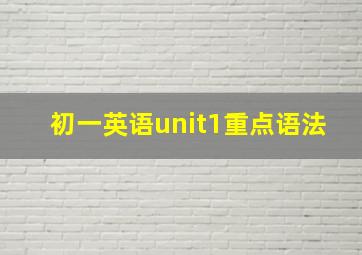 初一英语unit1重点语法