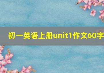 初一英语上册unit1作文60字