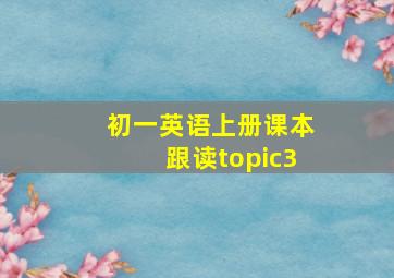 初一英语上册课本跟读topic3