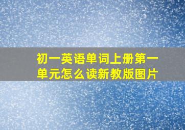 初一英语单词上册第一单元怎么读新教版图片