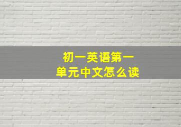 初一英语第一单元中文怎么读