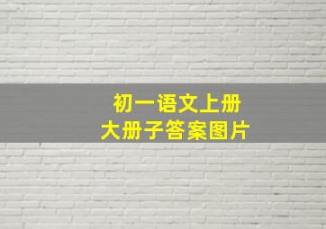 初一语文上册大册子答案图片