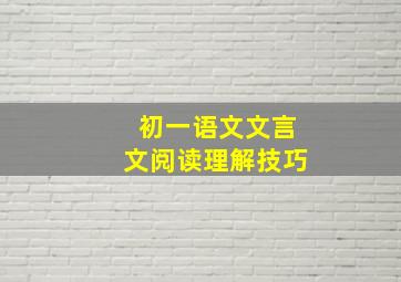 初一语文文言文阅读理解技巧