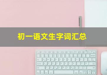 初一语文生字词汇总