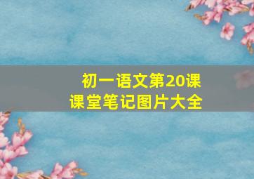 初一语文第20课课堂笔记图片大全