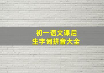 初一语文课后生字词拼音大全