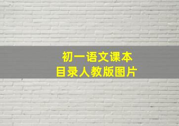 初一语文课本目录人教版图片