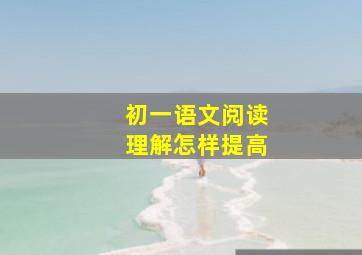 初一语文阅读理解怎样提高