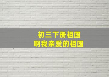 初三下册祖国啊我亲爱的祖国