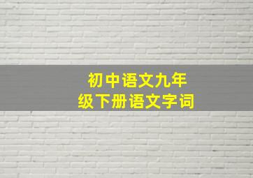 初中语文九年级下册语文字词