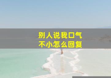 别人说我口气不小怎么回复