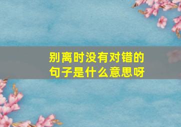 别离时没有对错的句子是什么意思呀