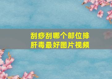 刮痧刮哪个部位排肝毒最好图片视频