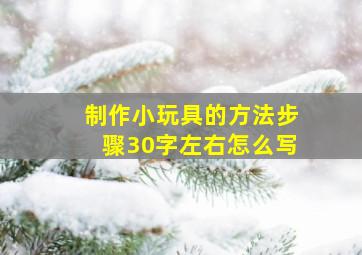 制作小玩具的方法步骤30字左右怎么写