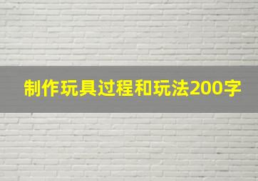 制作玩具过程和玩法200字