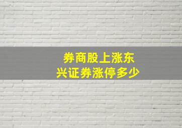 券商股上涨东兴证券涨停多少