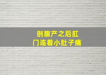 剖腹产之后肛门连着小肚子痛