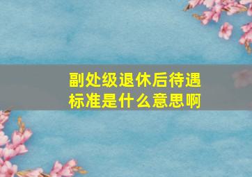 副处级退休后待遇标准是什么意思啊