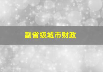 副省级城市财政