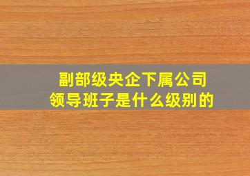 副部级央企下属公司领导班子是什么级别的