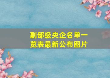 副部级央企名单一览表最新公布图片