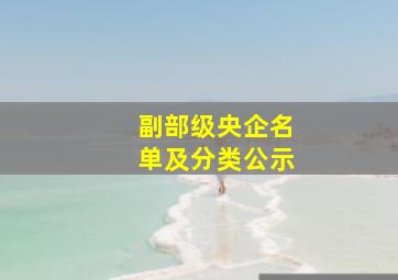 副部级央企名单及分类公示