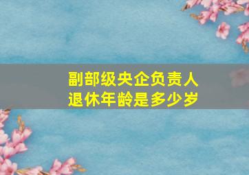 副部级央企负责人退休年龄是多少岁