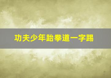 功夫少年跆拳道一字踢