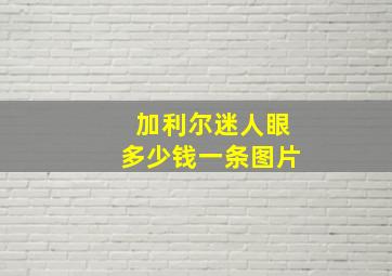 加利尔迷人眼多少钱一条图片