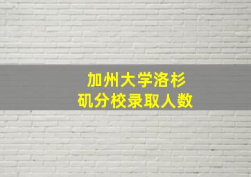 加州大学洛杉矶分校录取人数