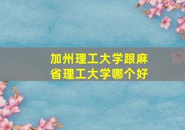 加州理工大学跟麻省理工大学哪个好