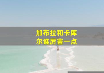 加布拉和卡库尔谁厉害一点