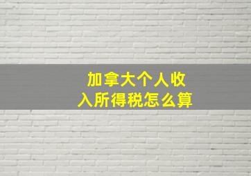 加拿大个人收入所得税怎么算