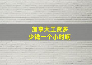 加拿大工资多少钱一个小时啊