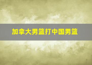 加拿大男篮打中国男篮