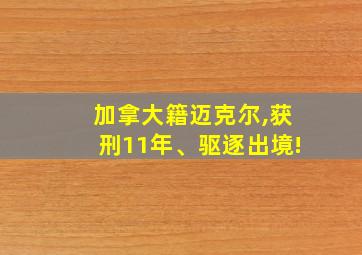 加拿大籍迈克尔,获刑11年、驱逐出境!