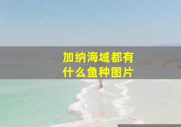 加纳海域都有什么鱼种图片