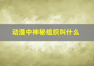 动漫中神秘组织叫什么