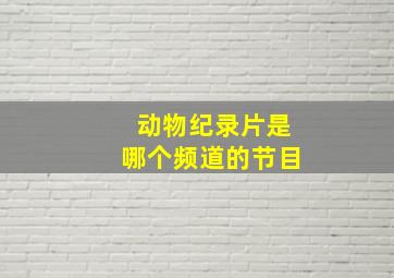 动物纪录片是哪个频道的节目