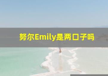 努尔Emily是两口子吗