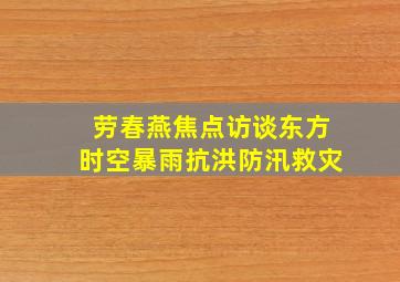 劳春燕焦点访谈东方时空暴雨抗洪防汛救灾