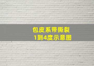 包皮系带撕裂1到4度示意图