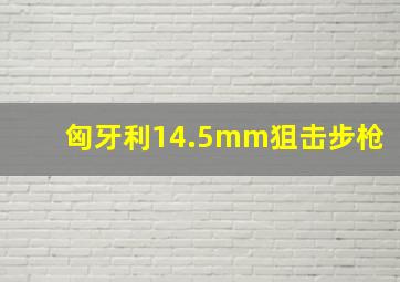 匈牙利14.5mm狙击步枪