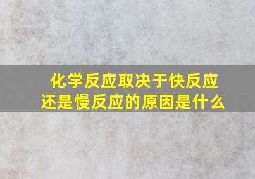 化学反应取决于快反应还是慢反应的原因是什么