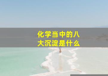 化学当中的八大沉淀是什么