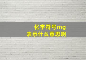 化学符号mg表示什么意思啊