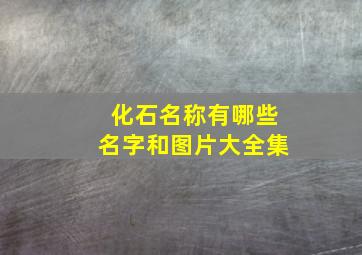 化石名称有哪些名字和图片大全集