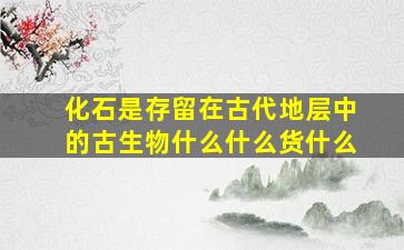 化石是存留在古代地层中的古生物什么什么货什么