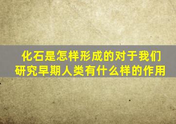 化石是怎样形成的对于我们研究早期人类有什么样的作用